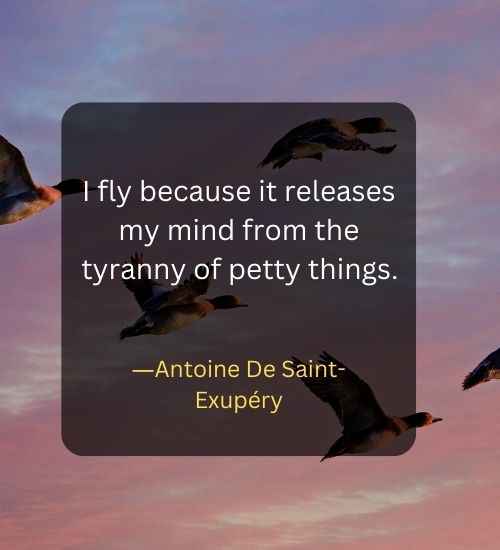 I fly because it releases my mind from the tyranny of petty things.
