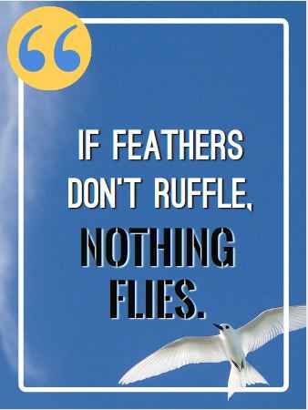 If feathers don't ruffle, nothing flies. Best Flying Quotes 