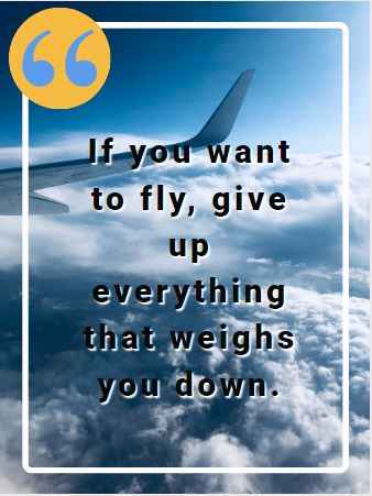 If you want to fly, give up everything that weighs you down. Flying Quotes That Will Soar You to Great Heights