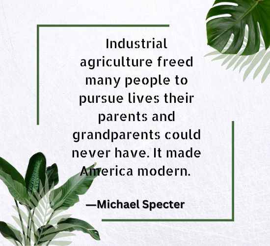 Industrial agriculture freed many people to pursue lives their parents and grandparent
