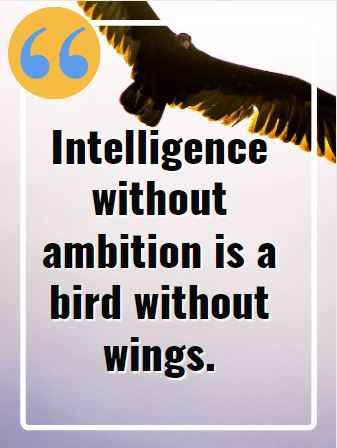 Intelligence without ambition is a bird without wings. Flying Quotes That Will Soar You to Great Heights