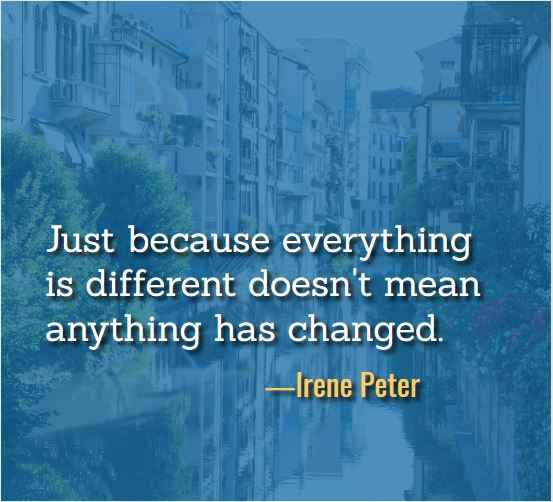 Just because everything is different doesn't mean anything has changed. ―Irene Peter, Best Just Because Quotes