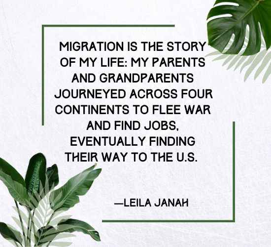 Migration is the story of my life my parents and grandparents journeyed across four continents to flee war and find jobs,