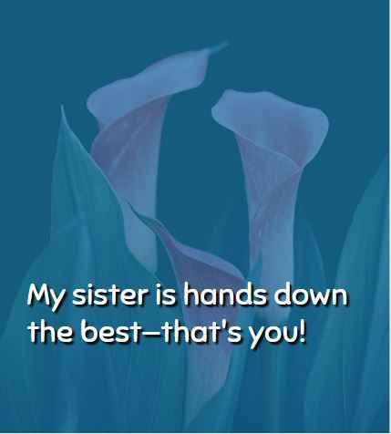 My sister is hands down the best—that's you! Happy Birthday Quotes for Sister