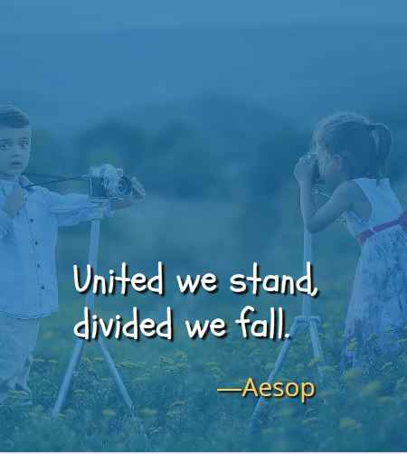  United we stand, divided we fall. ―Aesop, Best Brother Sister Quotes 