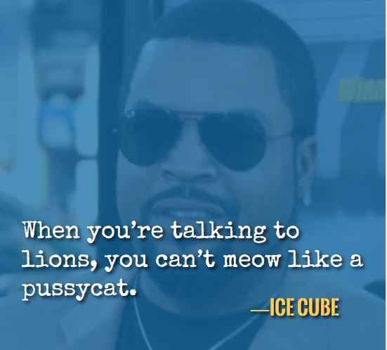 When you’re talking to lions, you can’t meow like a pussycat. —Best Ice Cube Quotes