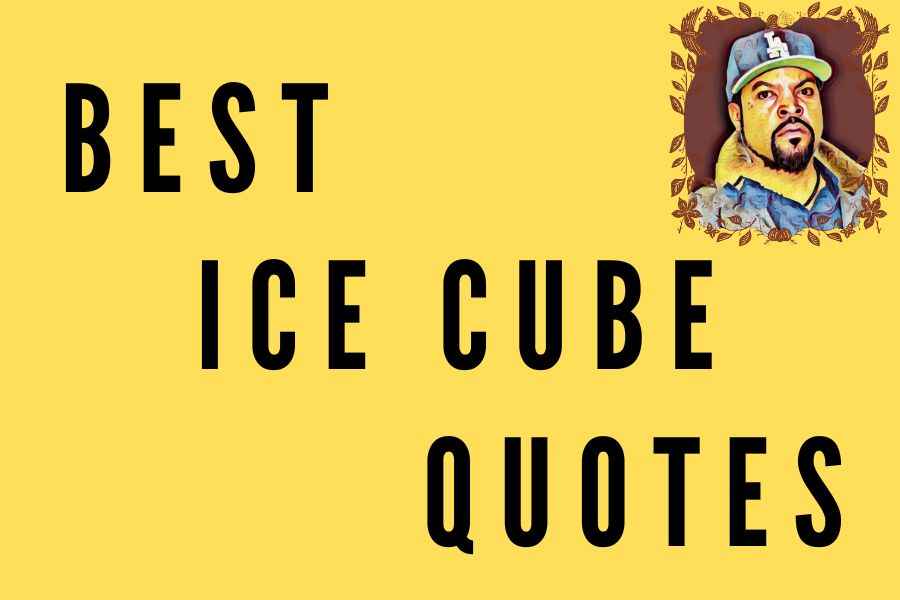 121 Best Ice Cube Quotes for When You Need Some Inspiration