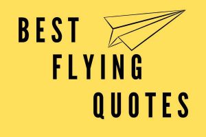 Flying Quotes - Verses | Quotes