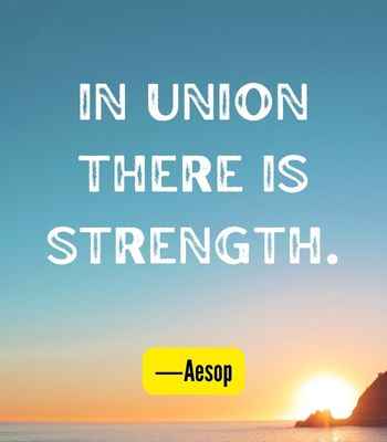 In union there is strength. ―Aesop, Best United Quotes That Prove We're Stronger Together