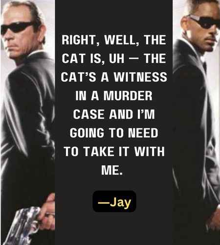 Right, well, the cat is, uh — the cat’s a witness in a murder case and I’m going to need to take it with me. ―Jay