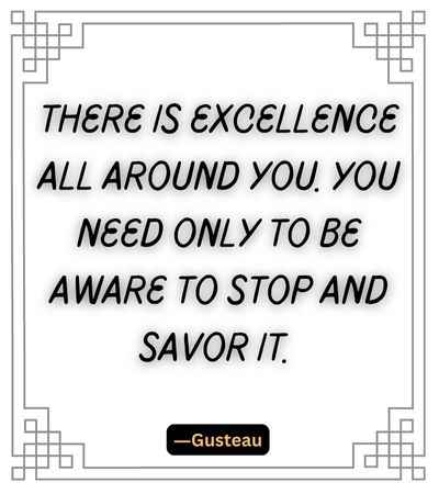 There is excellence all around you. You need