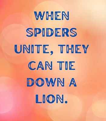 When spiders unite, they can tie down a lion. ―Unknown, Best United Quotes That Prove We're Stronger Together