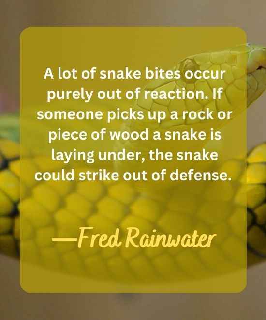 A lot of snake bites occur purely out of reaction. If someone picks up a rock or piece of wood-snake quotes