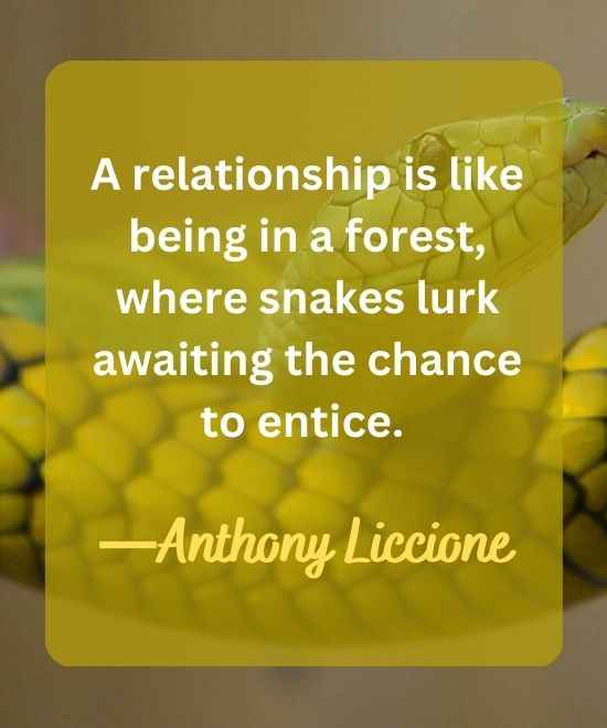 A relationship is like being in a forest, where snakes lurk-snake quotes
