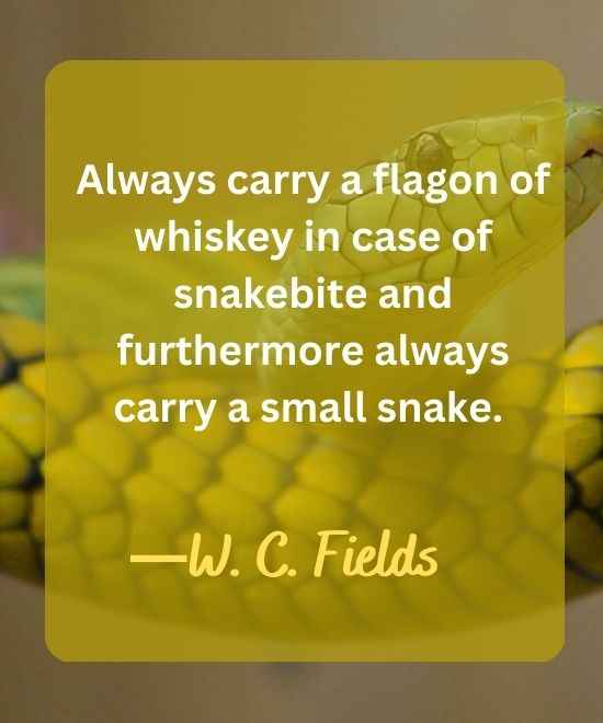 Always carry a flagon of whiskey in case of snakebite-snake quotes
