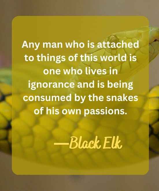 Any man who is attached to things of this world is one-snake quotes