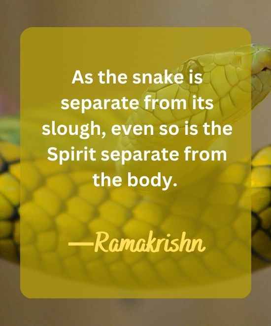 As the snake is separate from its slough, even so-snake quotes