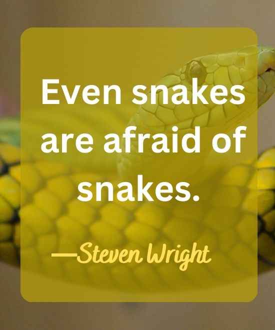 Even snakes are afraid of snakes.-snake quotes