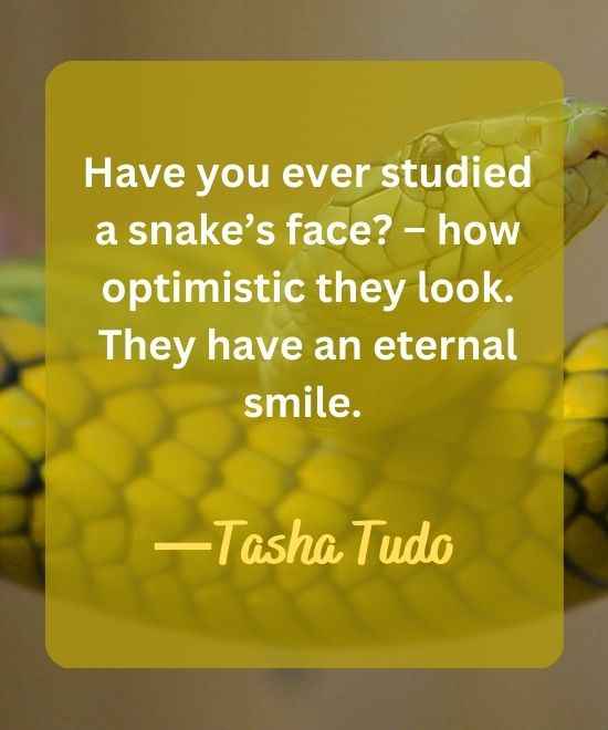 Have you ever studied a snake’s face – how optimistic-snake quotes