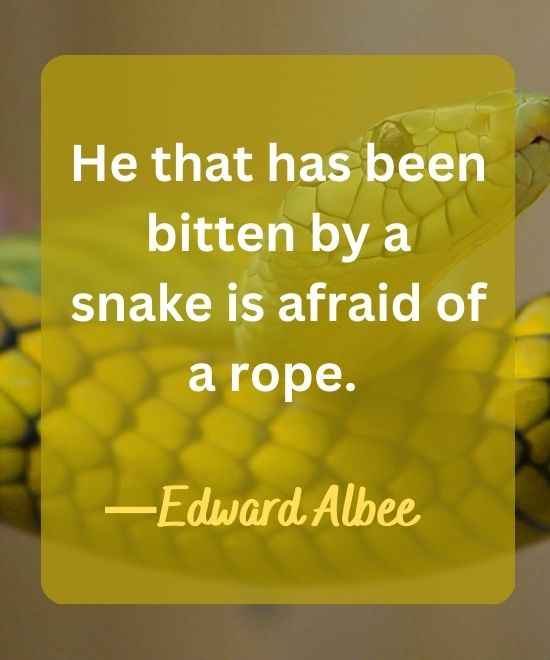 He that has been bitten by a snake is afraid of a rope.-snake quotes