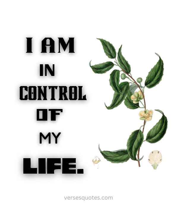 I am in control of my life