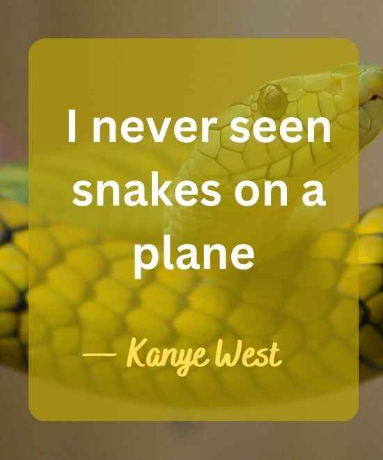 I never seen snakes on a plane-snake quotes