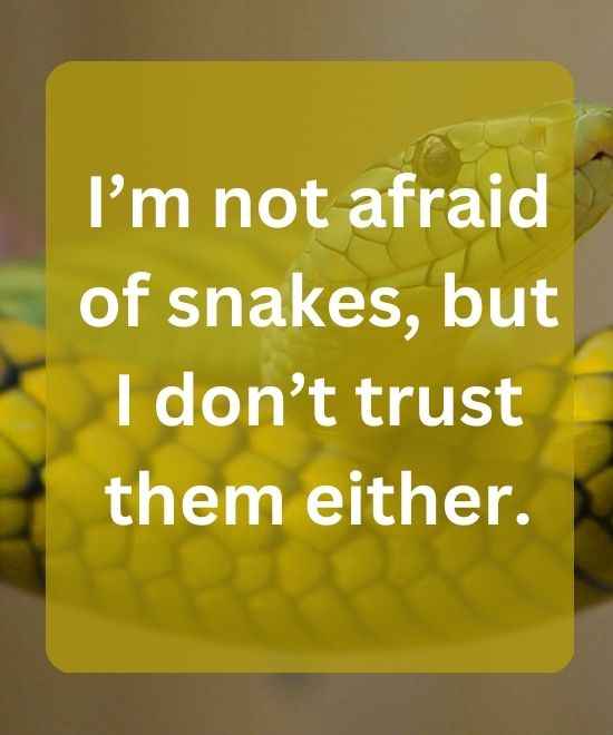 I’m not afraid of snakes, but I don’t trust them either.-snake quotes