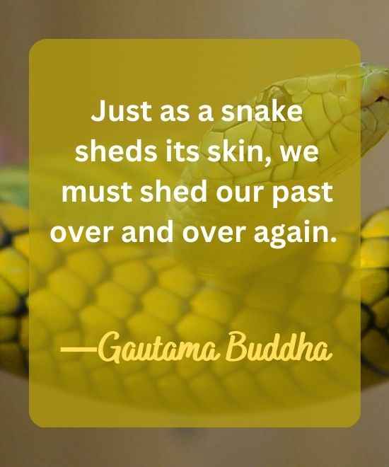 Just as a snake sheds its skin, we must shed-snake quotes