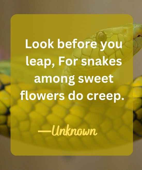 Look before you leap, For snakes among sweet flowers do creep.-snake quotes