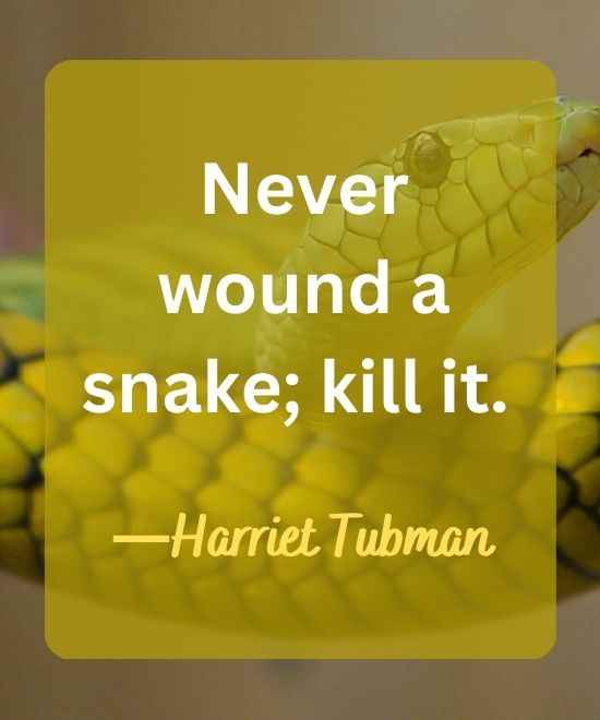 Never wound a snake; kill it.-snake quotes