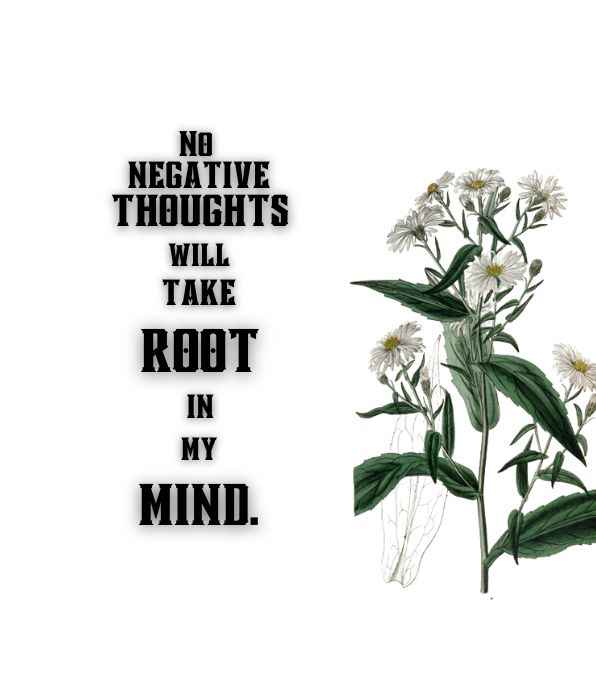 No negative thoughts will take root in my mind. - daily Positive affirmations quotes