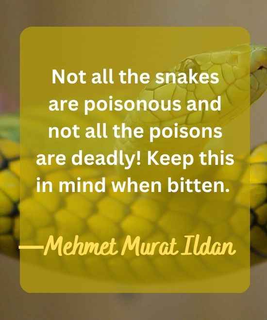 Not all the snakes are poisonous and not all the poisons-snake quotes