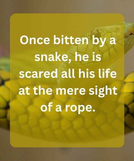 Once bitten by a snake, he is scared all his life at the mere sight of a rope.-snake quotes