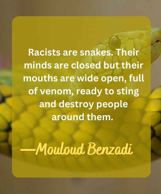 Racists are snakes. Their minds are closed but their mouths are wide-snake quotes