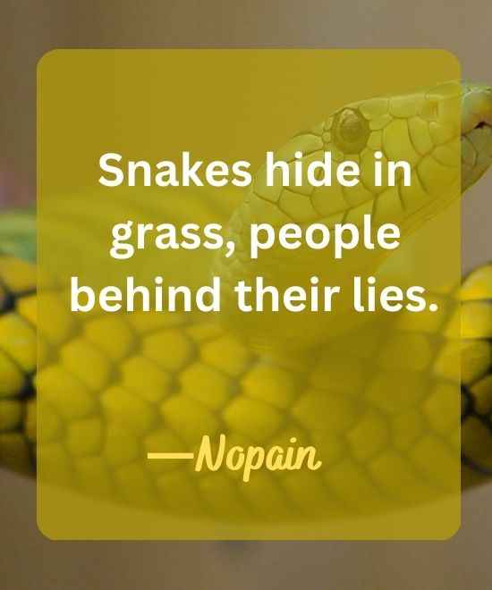 Snakes hide in grass, people behind their lies.-snake quotes