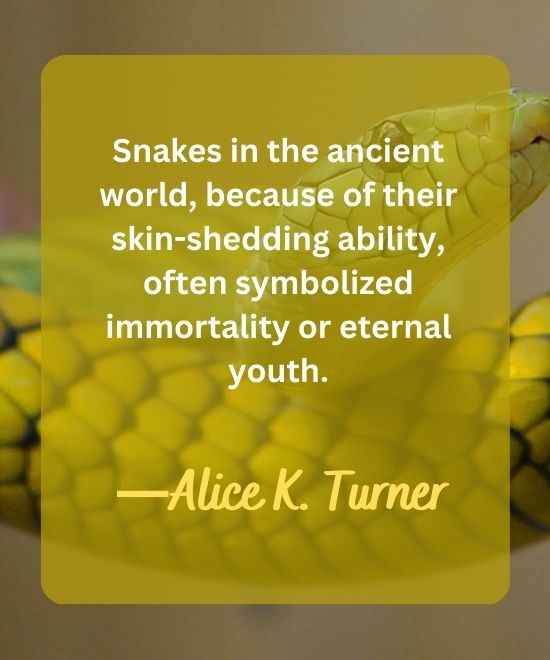 Snakes in the ancient world, because of their skin-shedding-snake quotes
