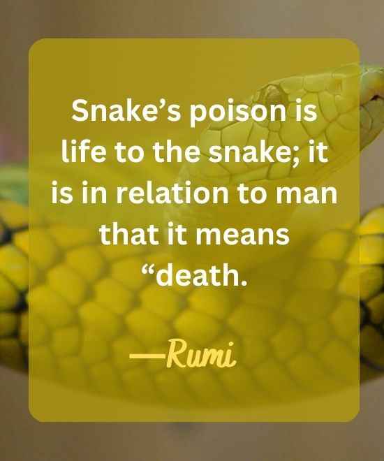 Snake’s poison is life to the snake; it is in relation-snake quotes