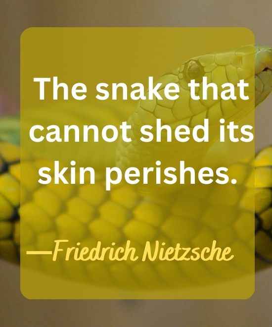 The snake that cannot shed its skin perishes.-snake quotes