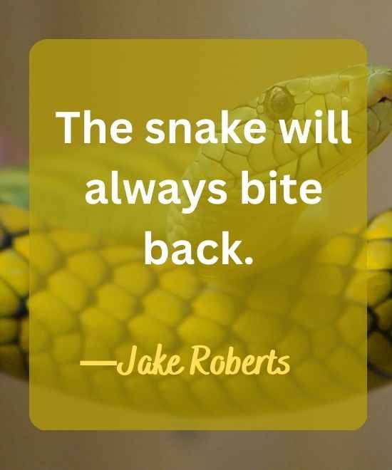 The snake will always bite back.-snake quotes