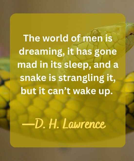 The world of men is dreaming, it has gone mad in its-snake quotes