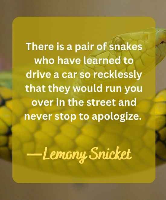 There is a pair of snakes who have learned to-snake quotes