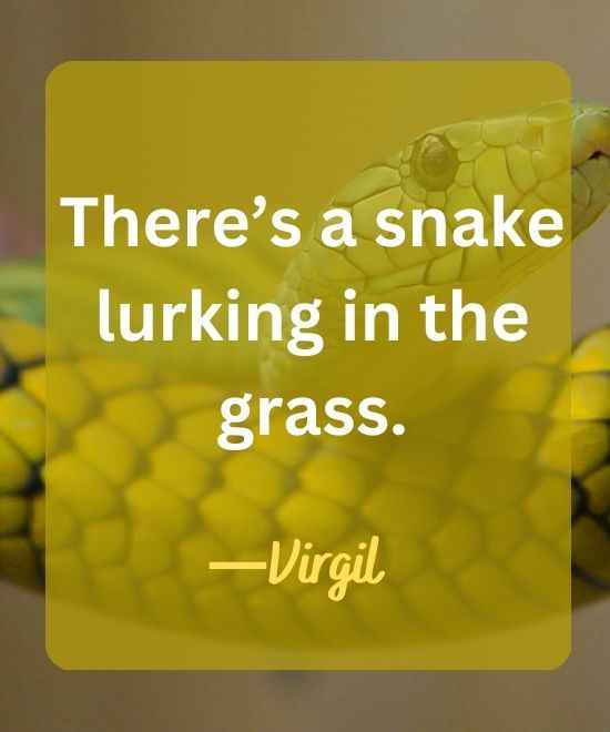 There’s a snake lurking in the grass. (1)-snake quotes