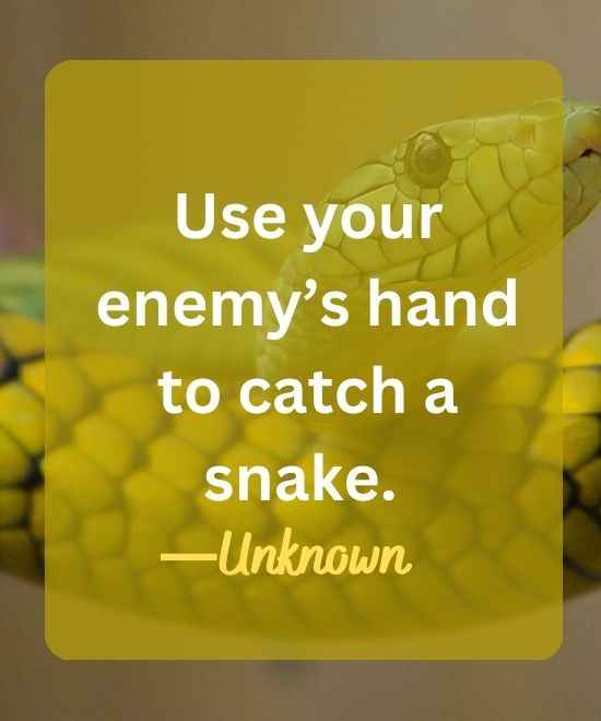 Use your enemy’s hand to catch a snake.-snake quotes
