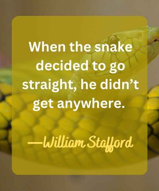 When the snake decided to go straight, he didn’t get anywhere.-snake quotes