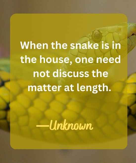 When the snake is in the house, one need not discuss the matter at length.-snake quotes