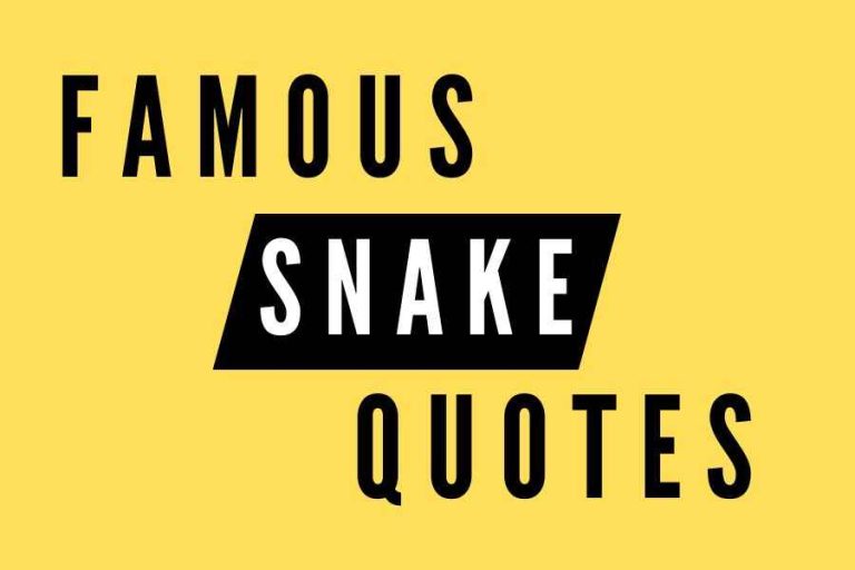 109 Snake Quotes with Images to Help You Overcome Your Fears