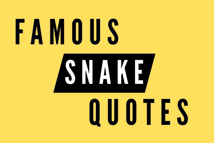 109 Snake Quotes to Help You Overcome Your Fears
