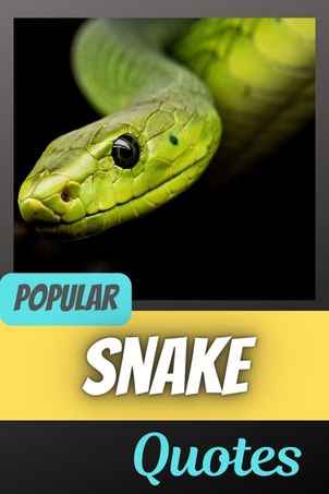 Inspirational Quotes about Snakes to Help You Overcome Your Fears